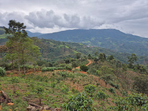 Peru - Griselda Rioja