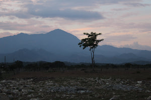 Honduras - Aruco