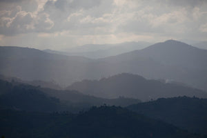 Rwanda - Kageyo 480